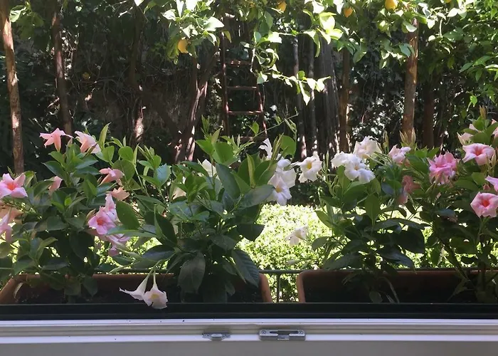 Casa Dodo Διαμέρισμα Σαλέρνο