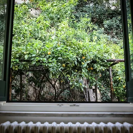 Casa Dodo Apartment *