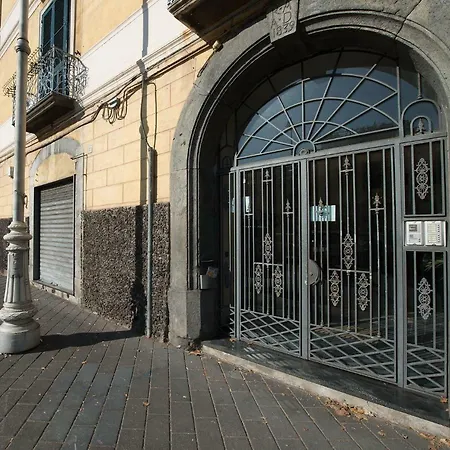 Casa Dodo *