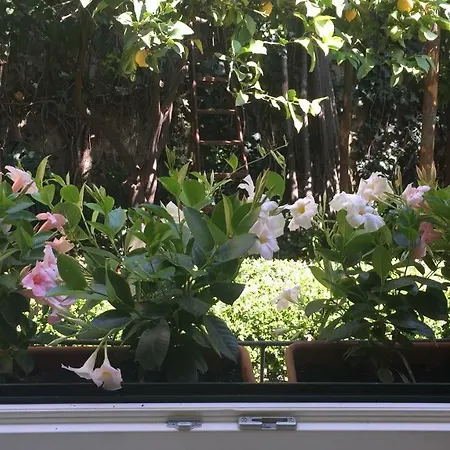 Casa Dodo Apartment Salerno